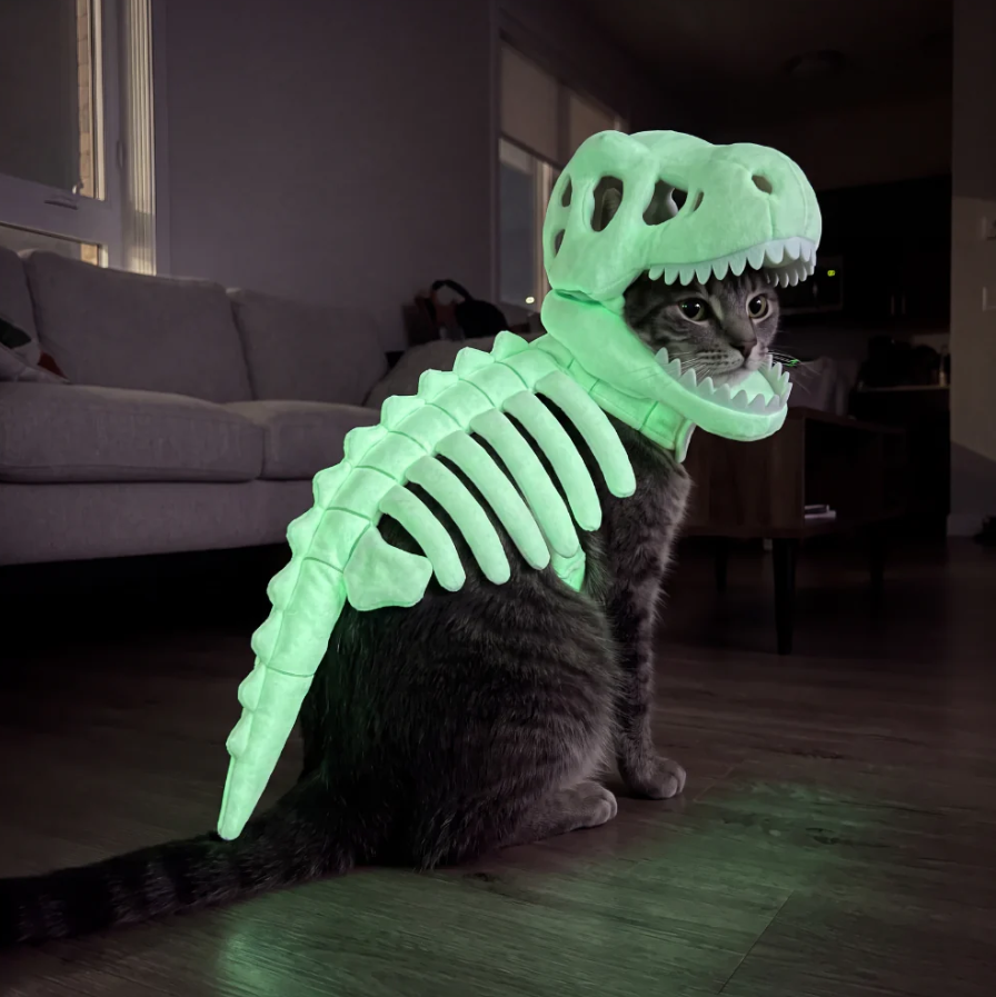 Dark Dinosaur Skeleton Pet Costume